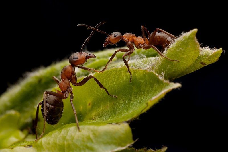 cześć !co słychać?photo preview