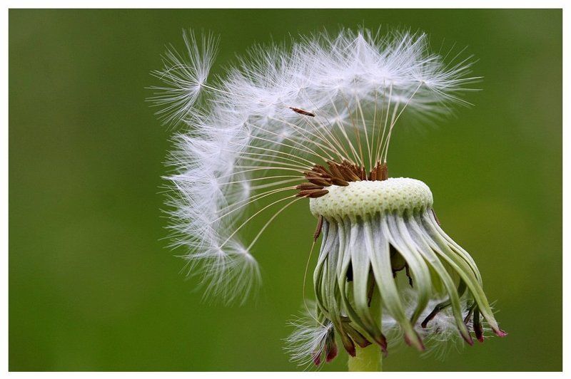 Я отлетаю a Вы?photo preview