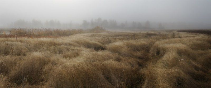 осень, трава травы осениphoto preview