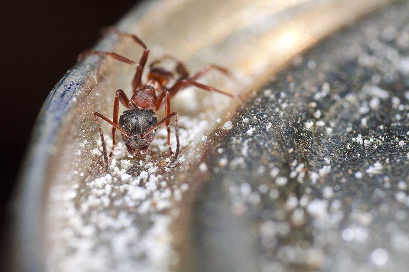 На кольцах Сатурна!photo preview