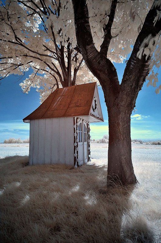 Ir Photophoto preview