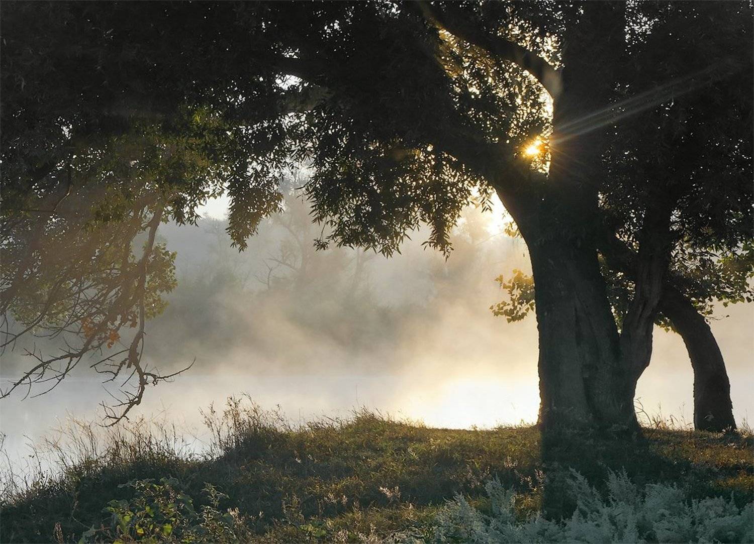 , Сергей Иванов