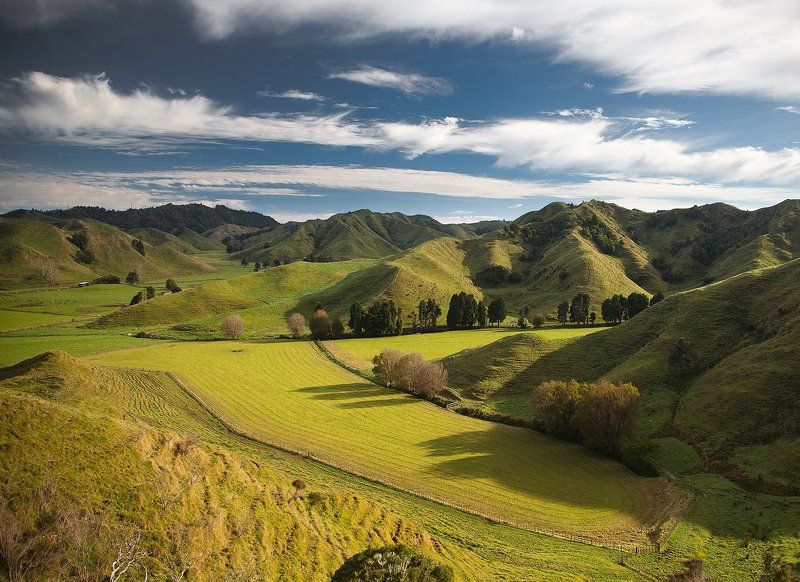 ПАСТОРАЛЬНАЯ 3ЕЛАHДИЯ...photo preview