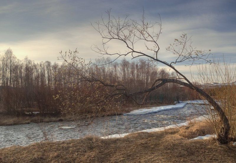 весна. photo preview