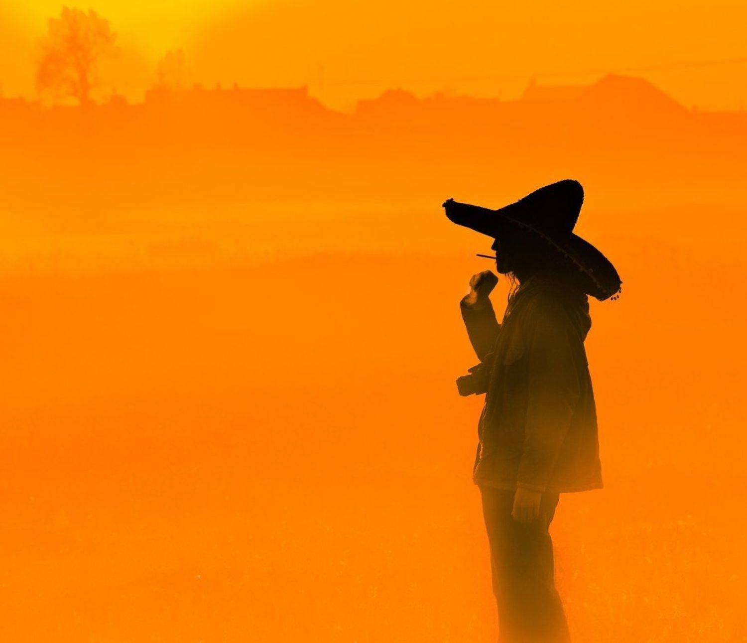 ... Автор: Dawid Lozinski , Dawid Lozinski