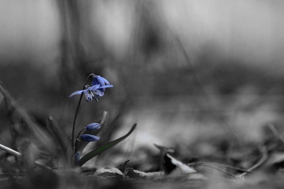 Автор: Леонид , Леонид