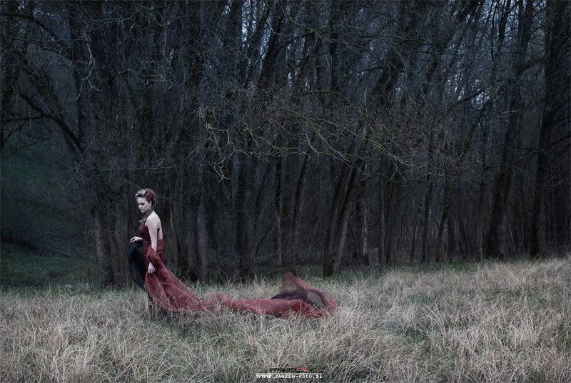 Waldnymphephoto preview