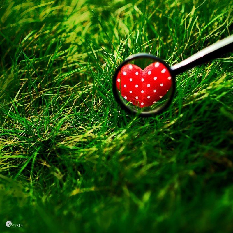 сердечко, серце, любовь, лупа, красний, червоний, трава, зелень любовь по всюду...photo preview