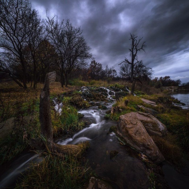 Где трепещут осиныphoto preview