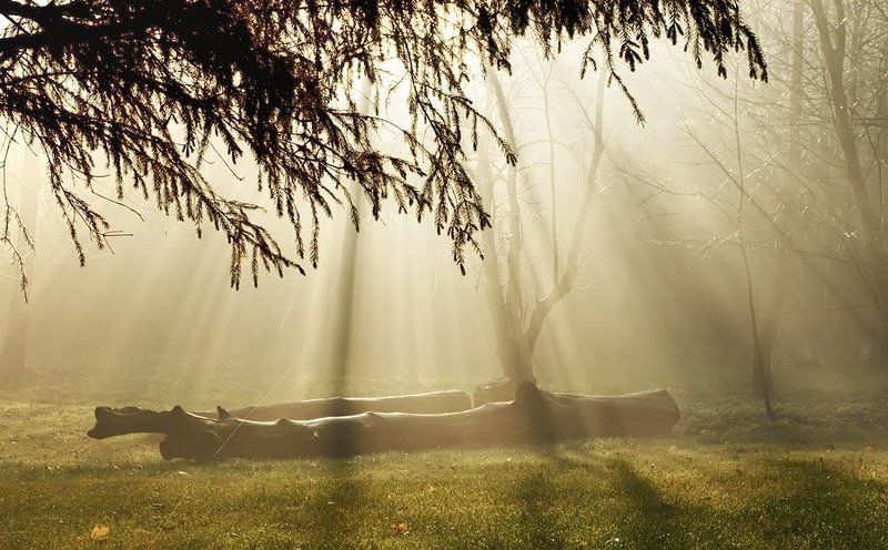 небесное просвещенияphoto preview