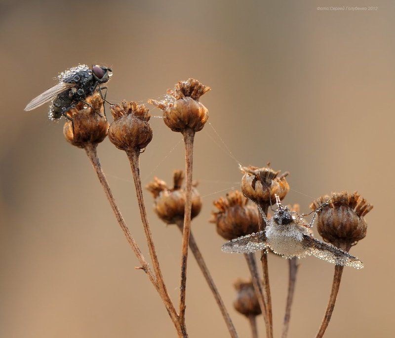 Тонкая связьphoto preview