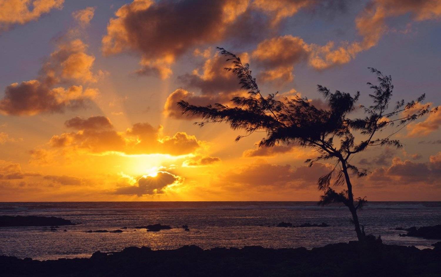рассвет, в, бель, маре, Александр Константинов