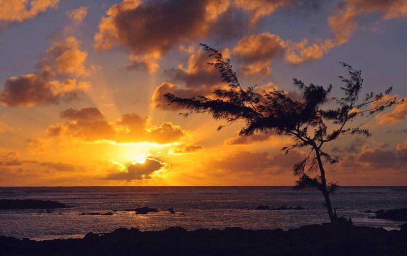 рассвет, в, бель, маре Рассвет в Бель Мареphoto preview