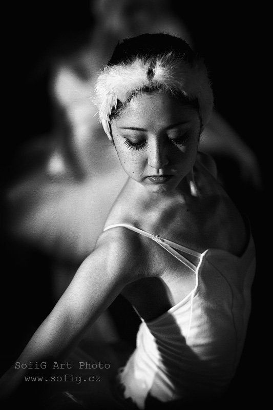 ballet, balet, tanec, ballerina, swan lake, sofig ...photo preview