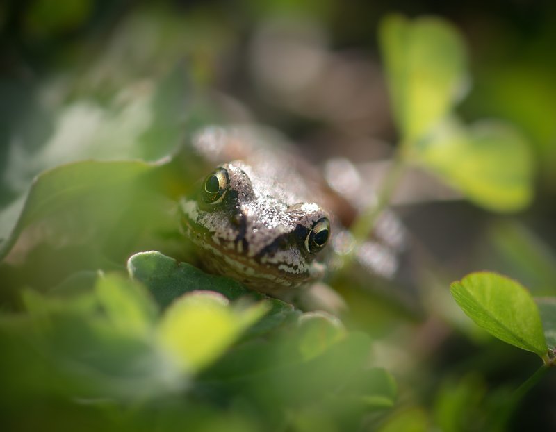 Привет!photo preview