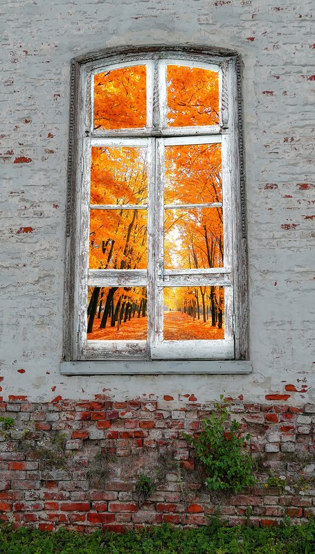 мгу Скоро осень...photo preview