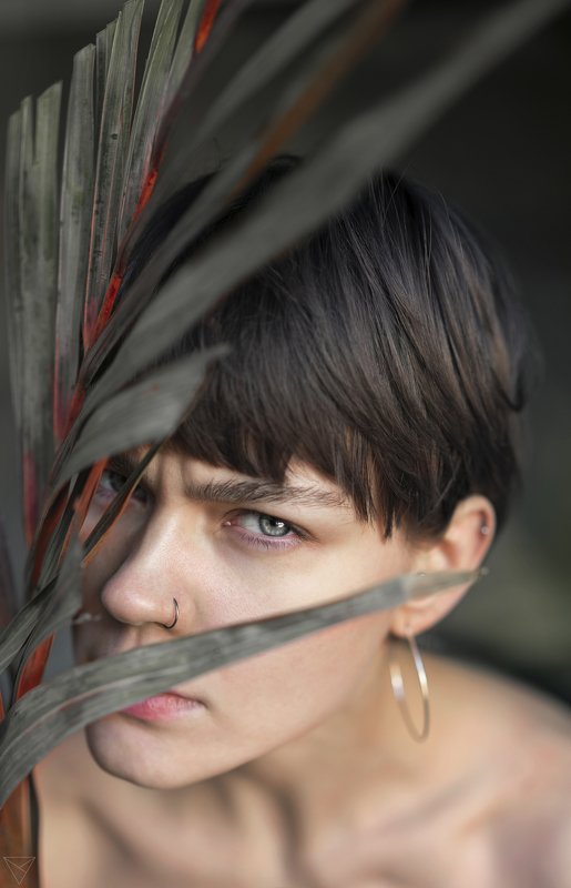 Женский портрет, портрет, природа, portrait, women, красивый портрет, взгляд, пальма Взглядphoto preview