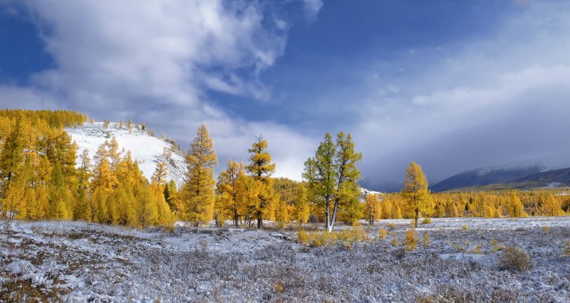 Первый снежокphoto preview