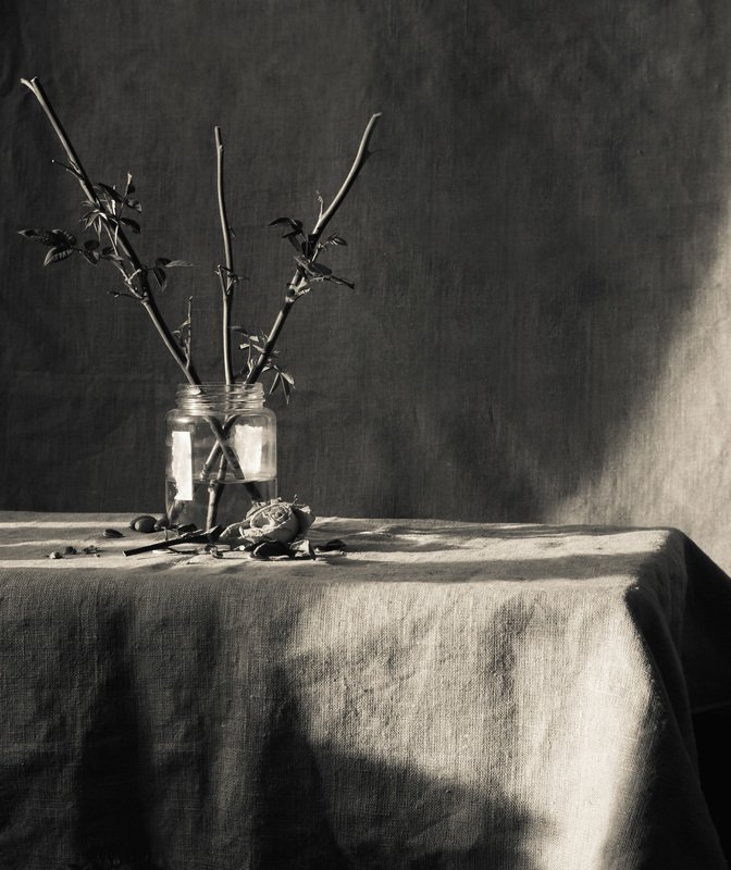 фотография художественная фотография черно-белая фотография ...photo preview