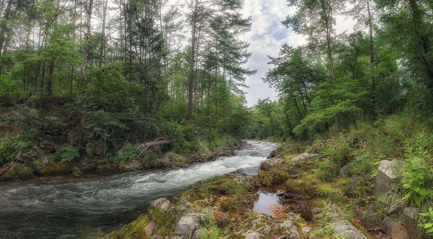Лиановая. Автор: Шинкарева Елена , Шинкарева Елена