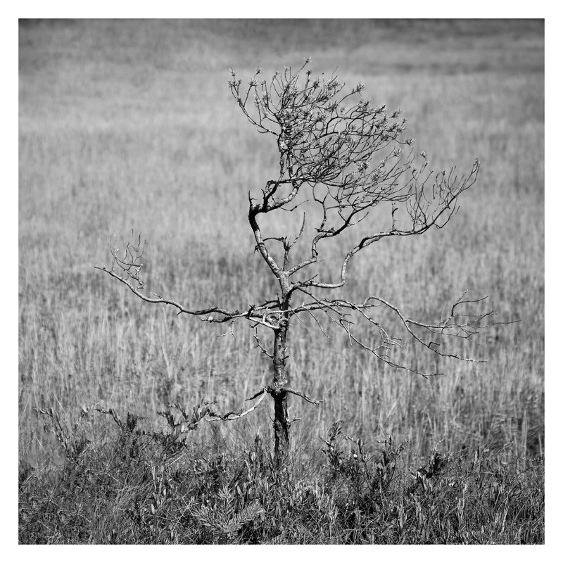 на все времена photo preview