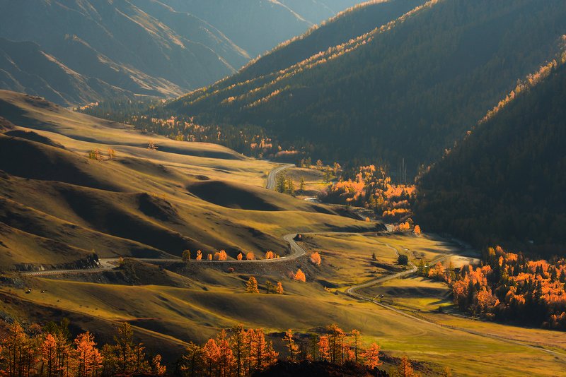алтай,горный алтай, осень, чике-таман Скоро осень,за окнами август...photo preview