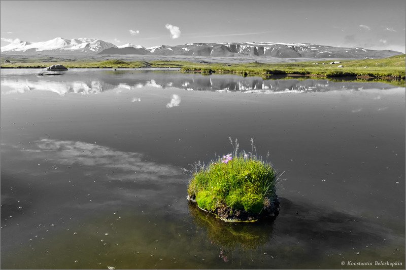 бертек, укок, табын_богдо_ола, алтай Южный Алтайphoto preview