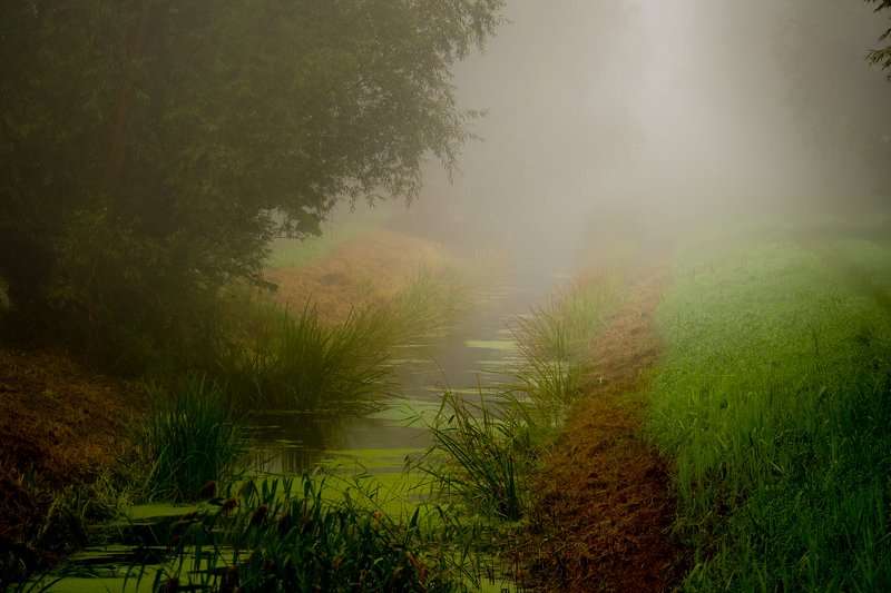 Żuławskie klimatyphoto preview