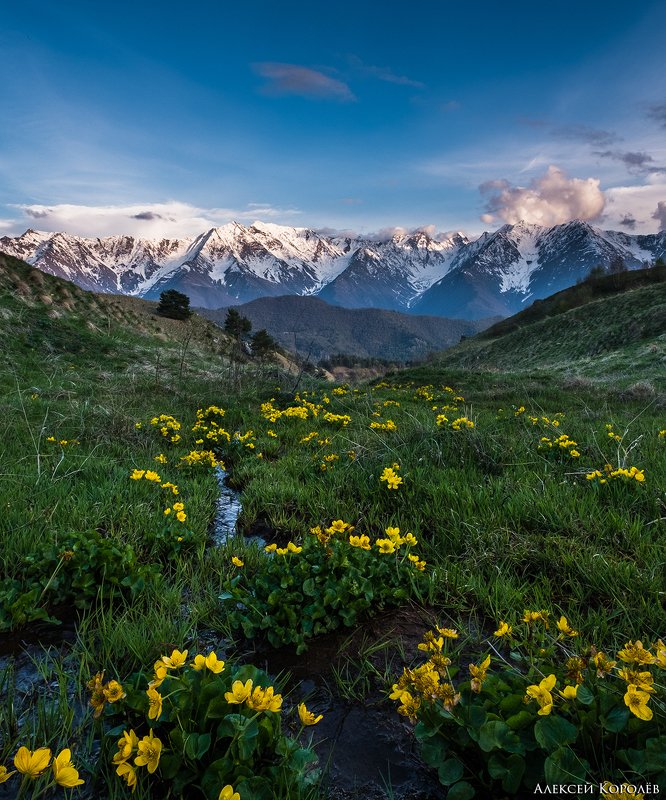 россия, кавказ, ингушетия, закат, горы, природа, пейзаж, цветы, весна, russia, caucasus, ingushetia, sunset, mountains, nature, landscape, flowers, spring Заповедник Эрзиphoto preview