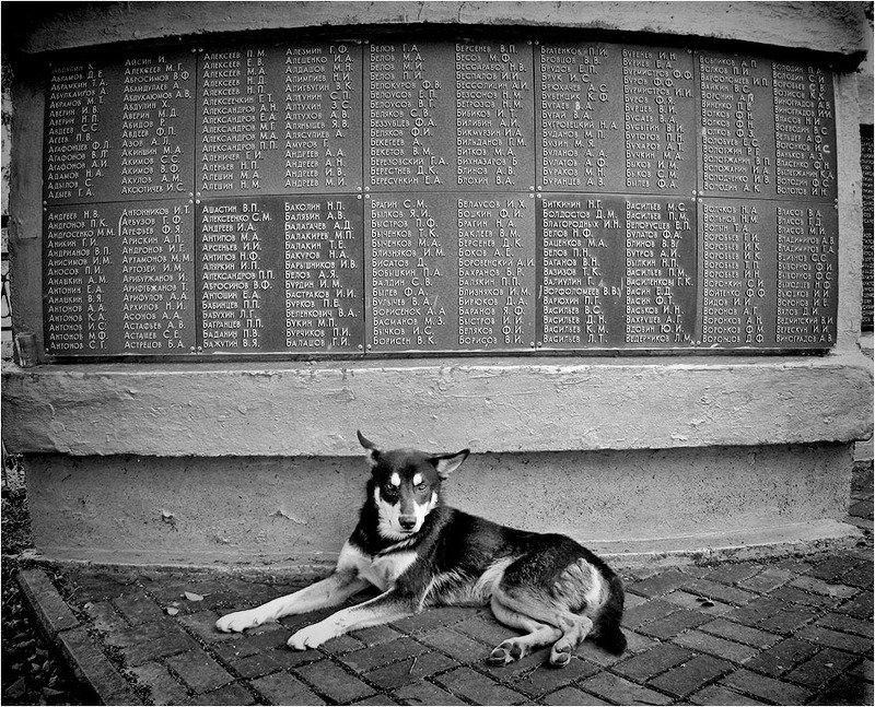 город На страже памятиphoto preview
