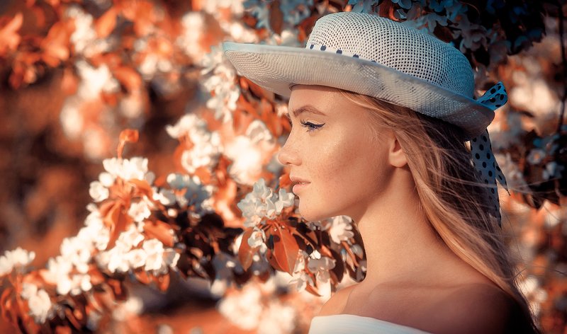 Викаphoto preview