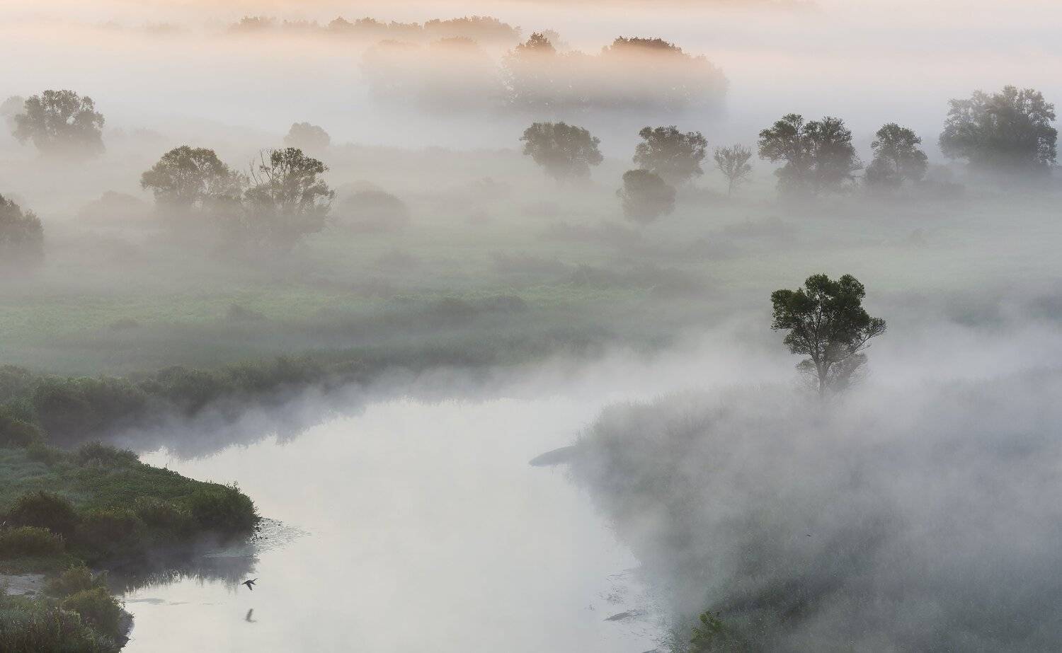 , Дмитрий Новоселов