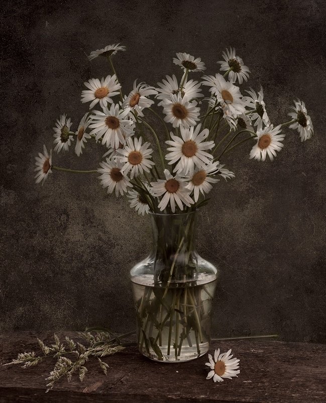 Ромашковыйphoto preview