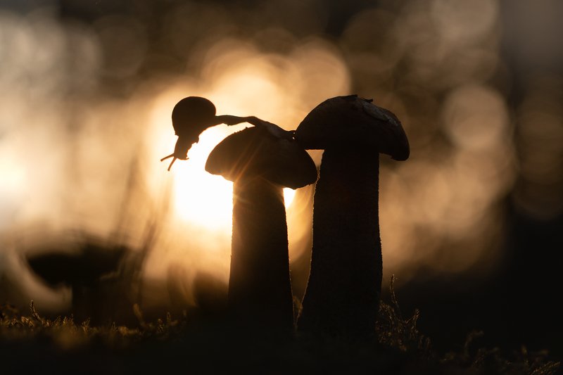 Провожая солнцеphoto preview