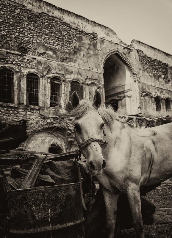 old mosul Old Mosulphoto preview