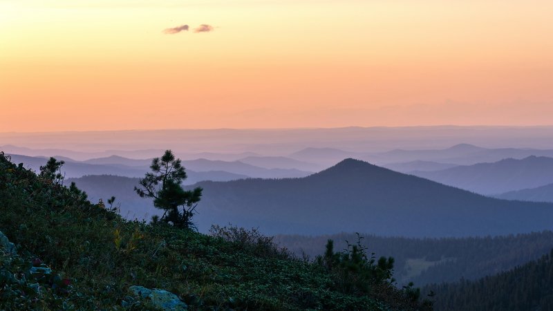 горы, сибирь, саяны, западный саян, ергаки, ник васильев, дерево, кедр, закат, mountains, siberia, sayan, ergaki, Фиолетовый вечер.photo preview