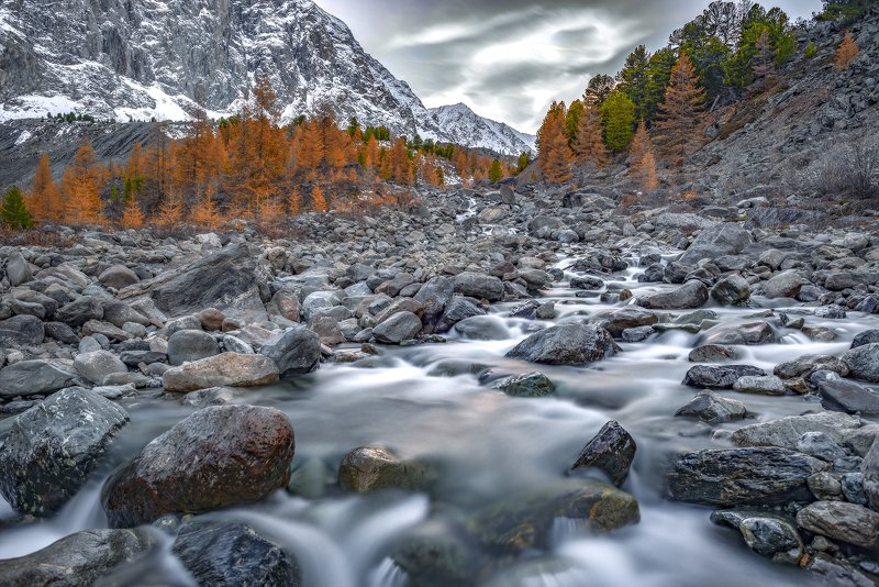 осень, горный алтай, актру, караташ В долине Актру.Фото сделаны с разницей в несколько часов.photo preview