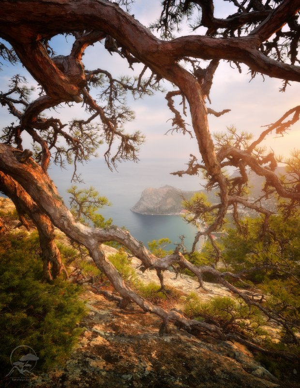 пейзаж, природа, море, горы, крым, новый свет Новосветские коряжкиphoto preview