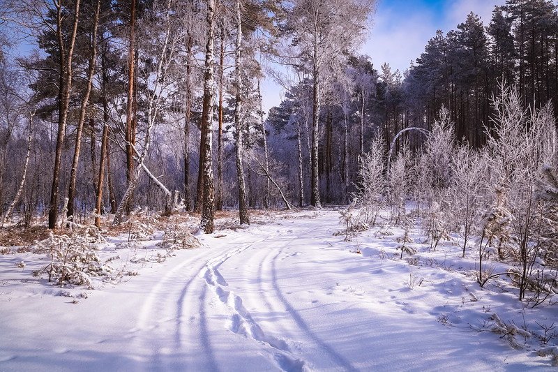 Дорога в сказку.photo preview