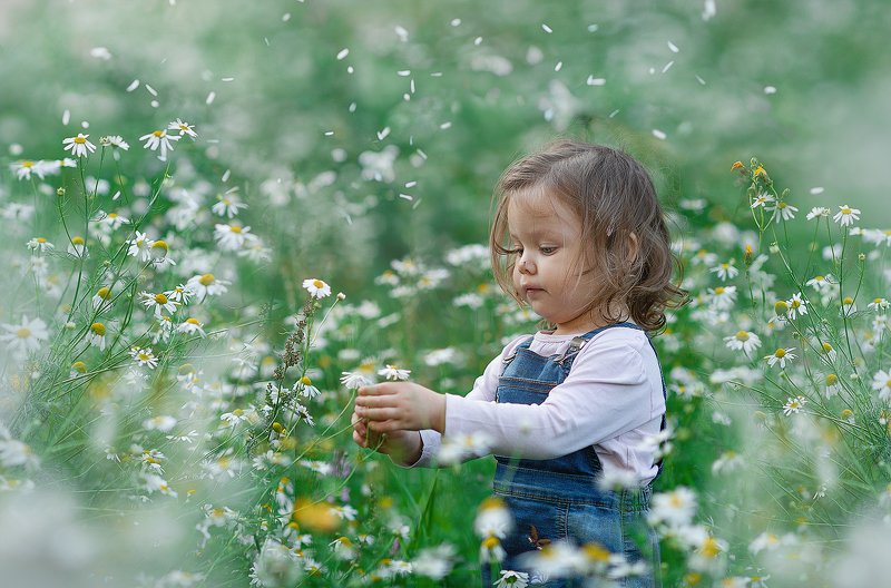 В Ромашково...на поездеphoto preview