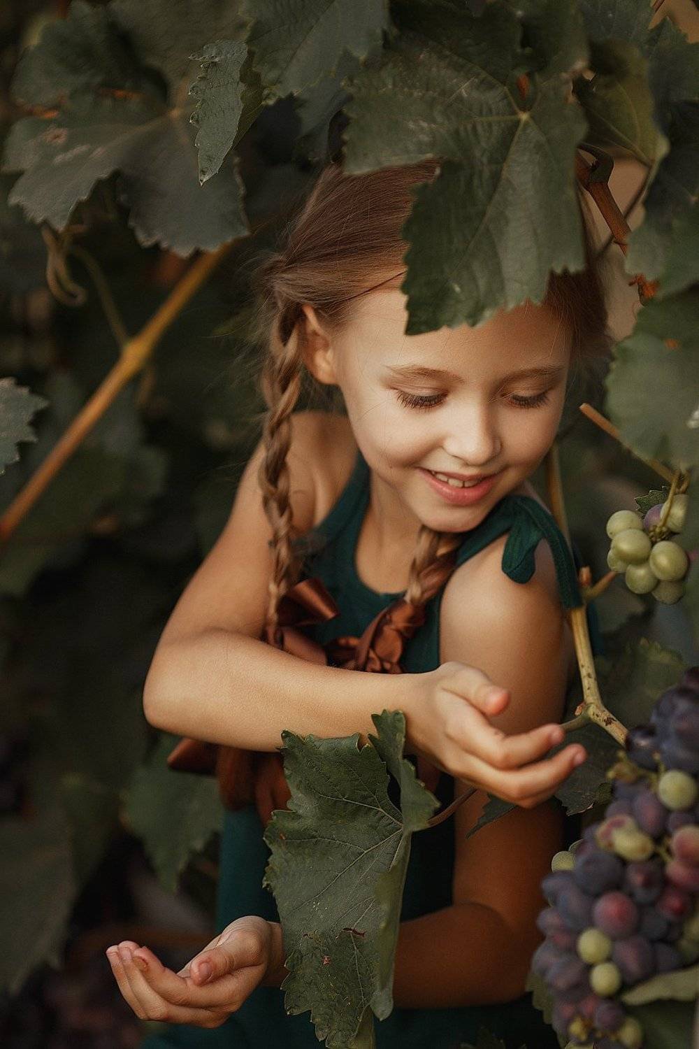 Дачные истории. Автор: Марина Бондарь , Марина Бондарь