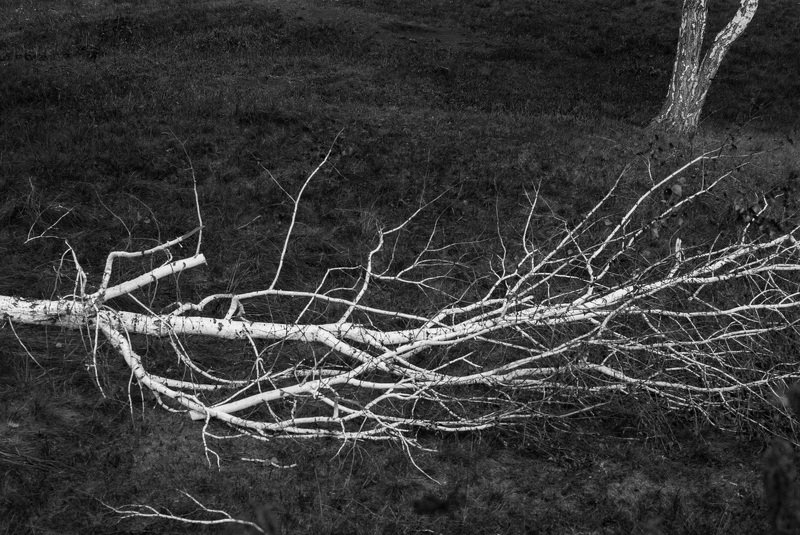 фотография, художественная, фотография, черно-белая, фотография, , окрестности surrounding area/из циклаphoto preview