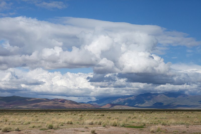 алтай, курайская степь. altai republic, russia. #алтай *** фото превью