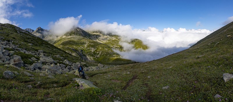 silencephoto preview