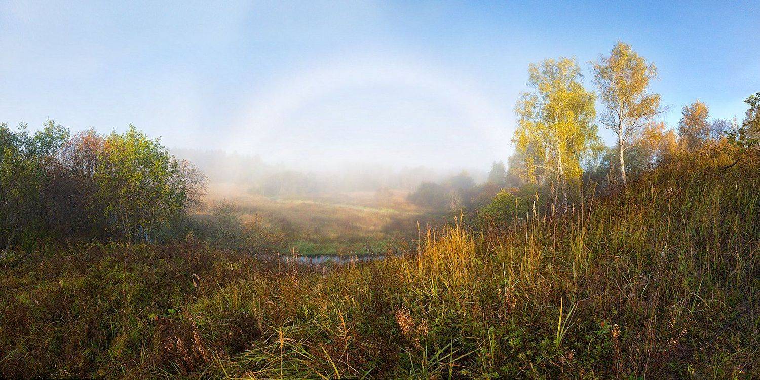 Белая радуга. Автор: Марина Брыдня , Марина Брыдня
