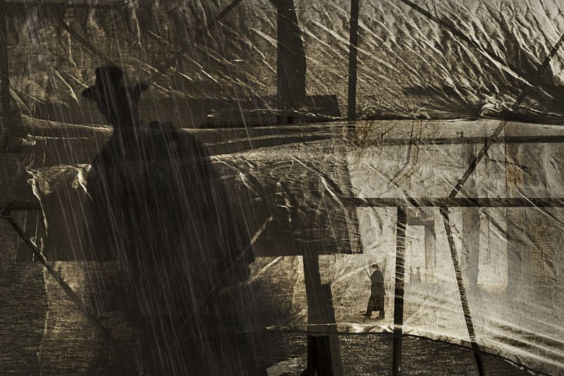 Октябрьское позднее фотография коллаж By the end of October/Октябрьское позднееphoto preview