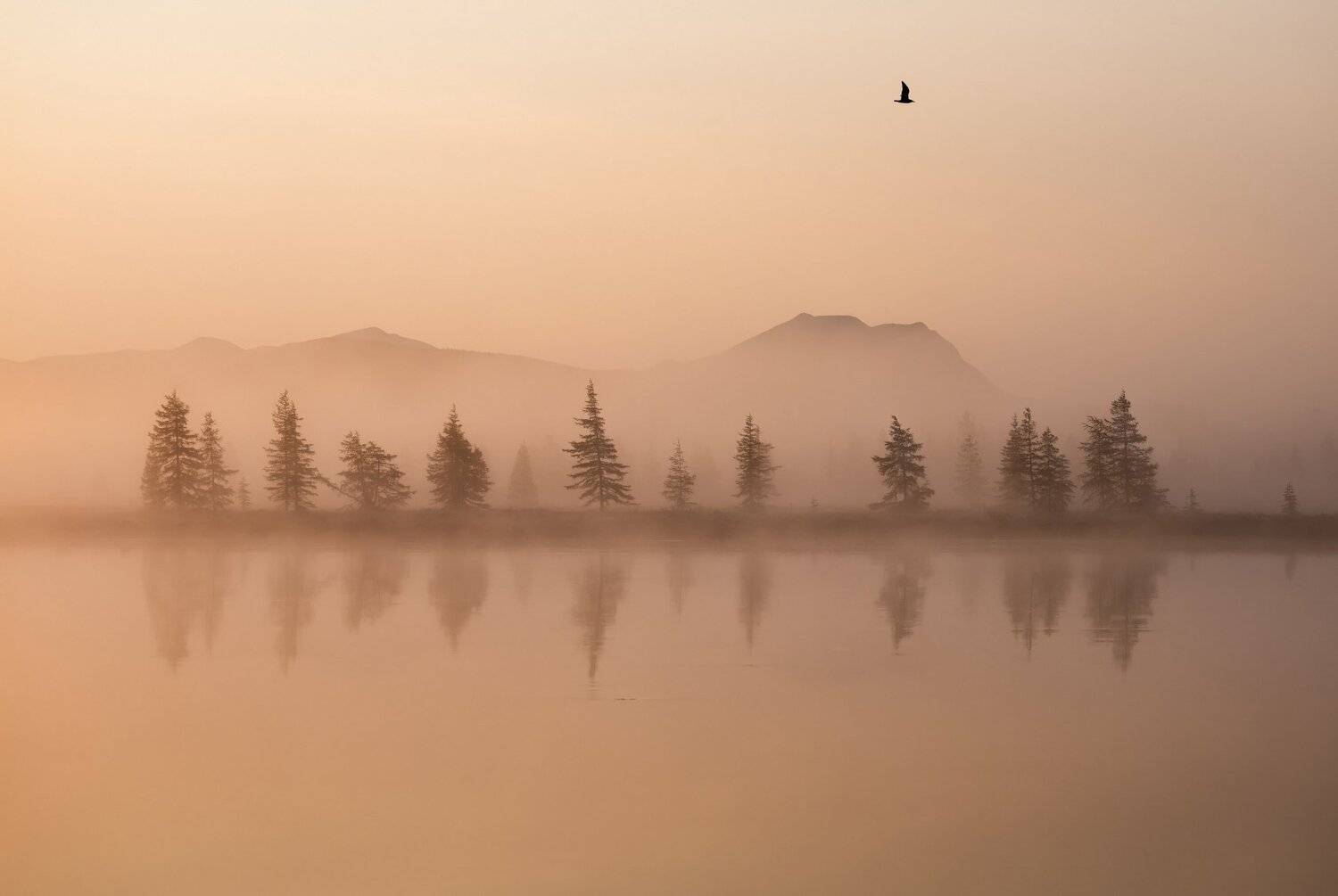 Наедине с тишиной.. Автор: Андрей Грачев колыма, Андрей Грачев