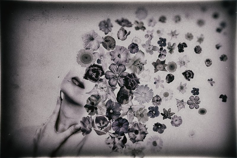 Флораphoto preview