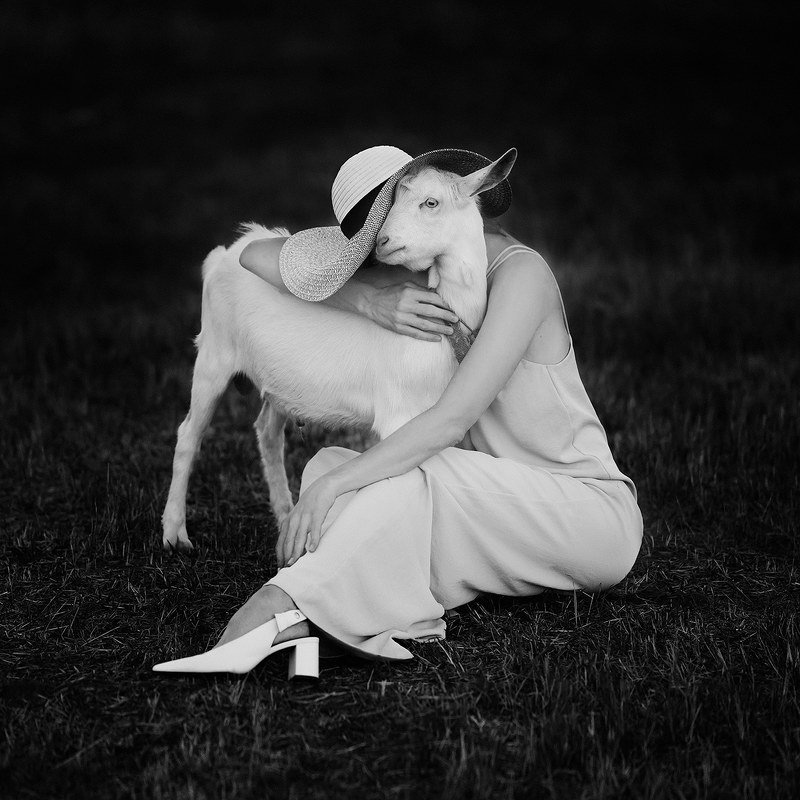 Potapov.storephoto preview