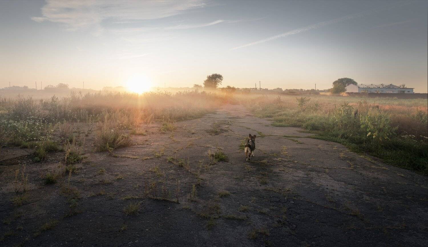 , Сергей Москалянов